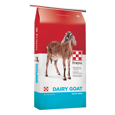 Purina Dairy Goat Parlor 16 - Odiorne Feed & Ranch Supply