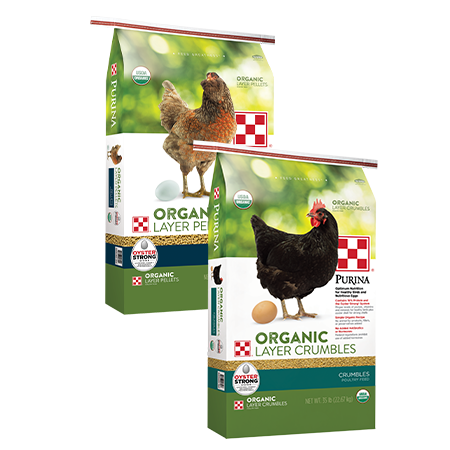 Purina Organic Layer Crumbles - Odiorne Feed & Ranch Supply