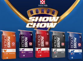 Honor show outlet chow